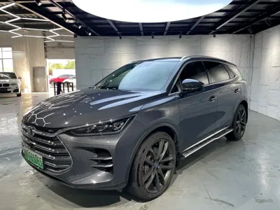 BYD Tang New Energy · 2019 год