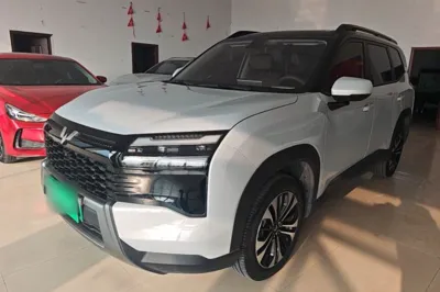 Wuling Xingguang 560 New Energy · 2026 год