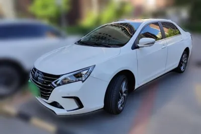 BYD Qin New Energy · 2018 год