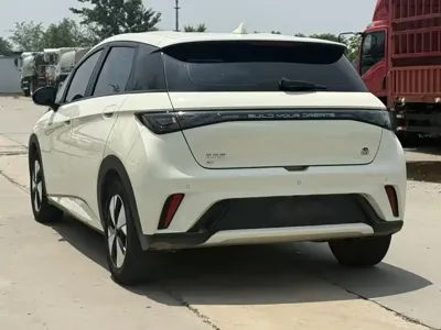 BYD Dolphin 2023, 25000 км, за 58800 CNY - фото 7