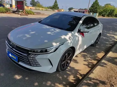 BYD Destroyer 05 · 2024 год