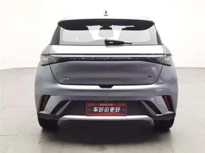 BYD Dolphin 2023, 82700 км, за 50900 CNY