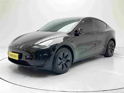 Tesla Model Y · 2024 год