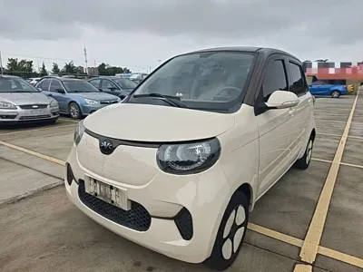 FERRAL EV 2022, 24800 км, за 18500 CNY
