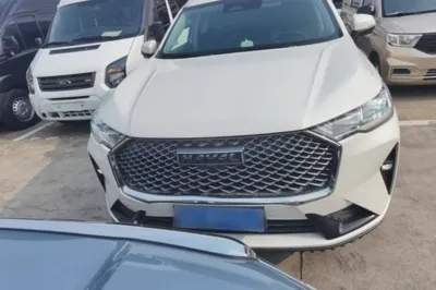 Haval H6 2021, 24300 км, за 71815.72 CNY