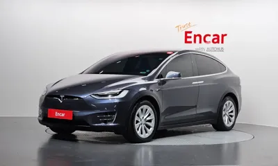Tesla Model X · 2019 год