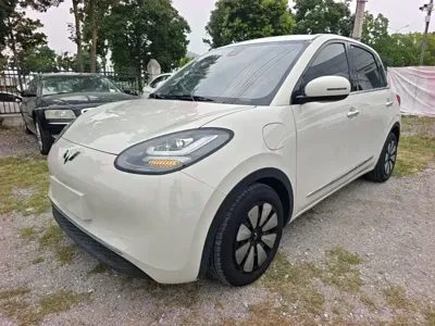 Wuling Bingo · 2024 год