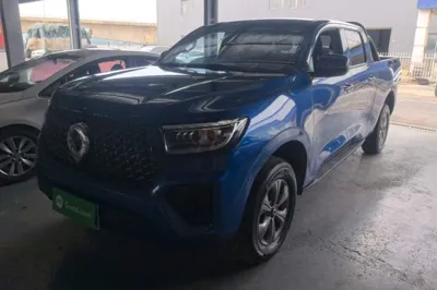 Great Wall Poer · 2023 год