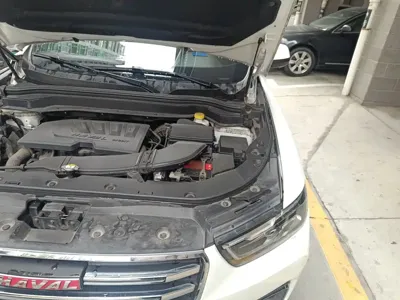 Haval H6 2018, 35800 км, за 47000 CNY - фото 22