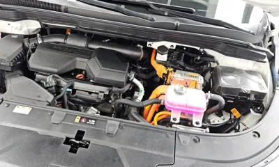 Kia Canival 2025, 29682 км, за 39900000 KRW - фото 6