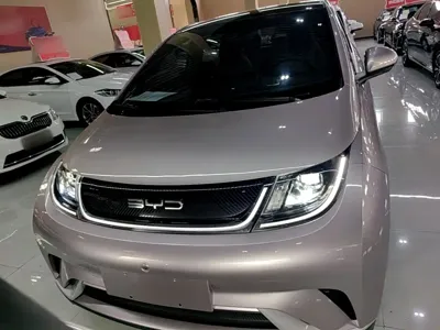 BYD Dolphin 2023, 53400 км, за 59100 CNY