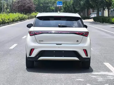 BYD Dolphin 2023, 30000 км, за 61800 CNY - фото 16