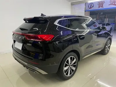 Haval H6 2023, 43000 км, за 86800 CNY - фото 6