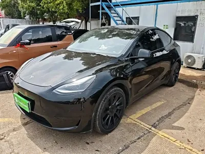 Tesla Model Y · 2023 год