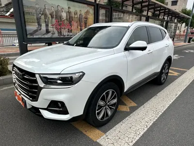 Haval H6 · 2021 год