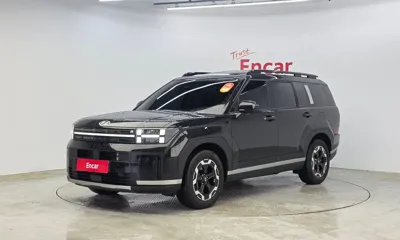 Hyundai Santafe · 2024 год