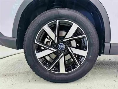 BYD Pro New Energy 2024, 14000 км, за 75800 CNY - фото 24