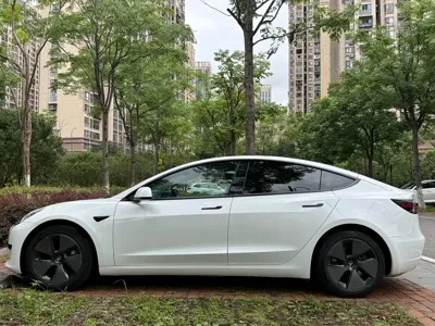 Tesla Model 3 2021, 115000 км, за 112800 CNY - фото 12