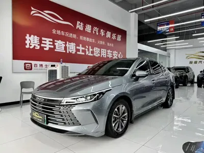 BYD Destroyer 05 · 2024 год