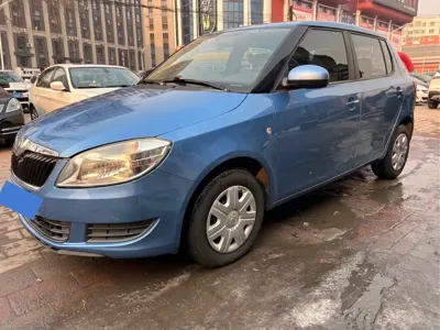 Skoda Fabia · 2014 год
