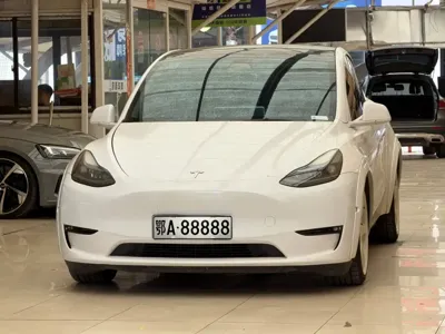 Tesla Model Y · 2022 год