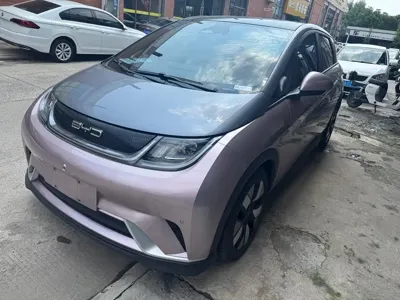 BYD Dolphin · 2024 год