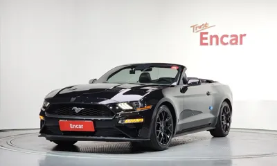 Ford Mustang · 2019 год