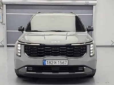 Kia Canival 2025, 39921 км, за 45990000 KRW