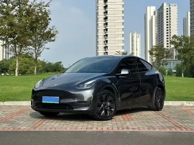 Tesla Model Y · 2024 год