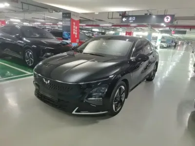 Wuling Xingguang · 2024 год