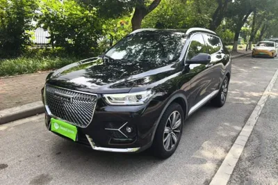 Haval H6 · 2021 год