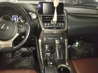 Lexus NX 2020, 31300 км, за 125900 CNY - фото 10