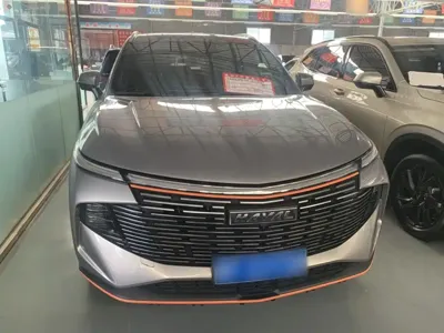 Haval Shenshou 2022, 48800 км, за 71300 CNY - фото 6