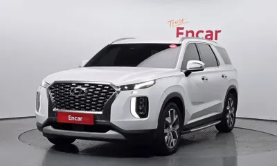 Hyundai Palisade · 2019 год