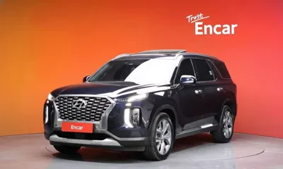 Hyundai Palisade · 2019 год