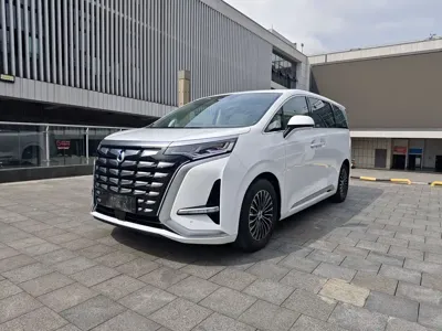 Denza Denza D9 · 2023 год