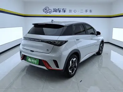 BYD Dolphin 2023, 23300 км, за 58000 CNY - фото 3