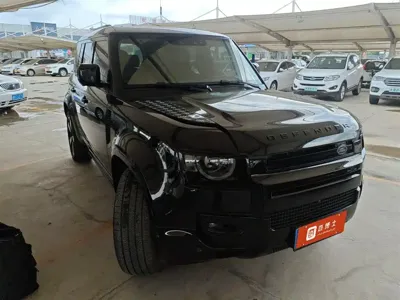 Land Rover Defender · 2025 год