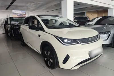 BYD Dolphin 2025, 5100 км, за 100473.99 CNY - фото 3
