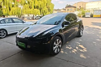 Tesla Model Y · 2022 год