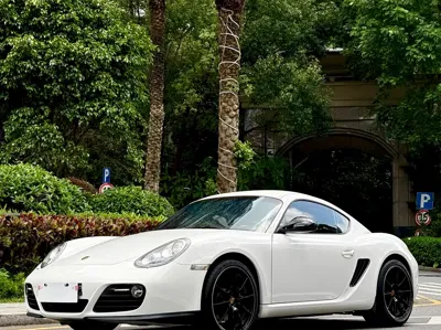 Porsche Cayman · 2012 год