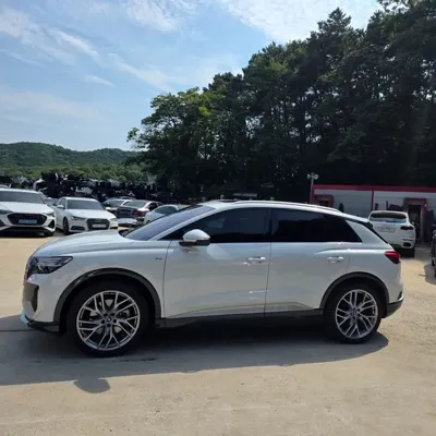 Audi Q4 e-tron 2025, 19146 км, за 39500000 KRW