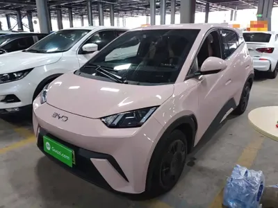 BYD Seagull · 2024 год