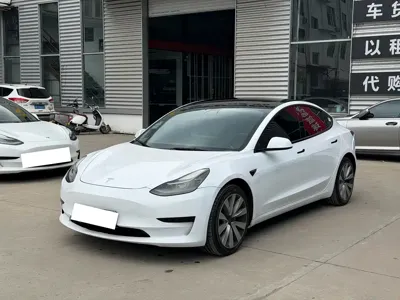 Tesla Model 3 · 2021 год