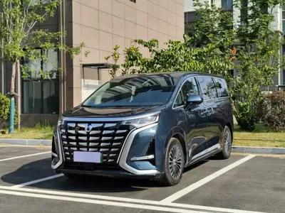 Denza Denza D9 · 2025 год