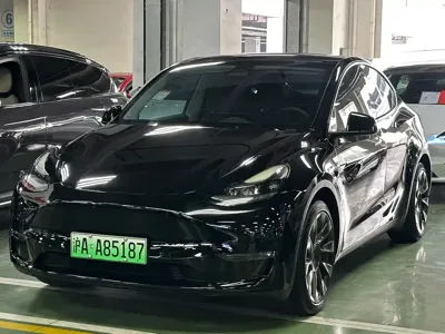 Tesla Model Y · 2021 год