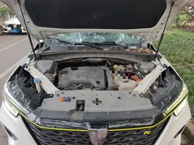 Roewe RX5 New Energy 2021, 84200 км, за 42300 CNY - фото 16