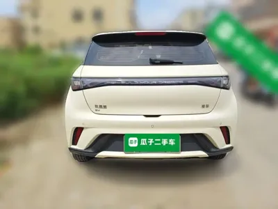 BYD Dolphin 2024, 89100 км, за 60400 CNY - фото 4