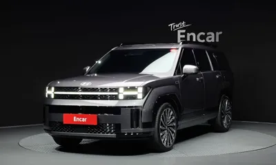 Hyundai Santafe · 2024 год