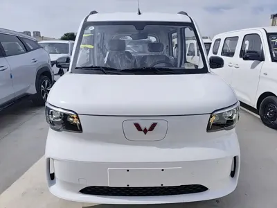 Wuling Zhiguang EV 2026, 100 км, за 51100 CNY